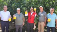 Aydınlı üreticilere Akdeniz Meyve Sineği Tuzağı dağıttı