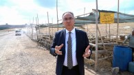Gaziantep’te kurbanlık alanlar ilaçlanıyor